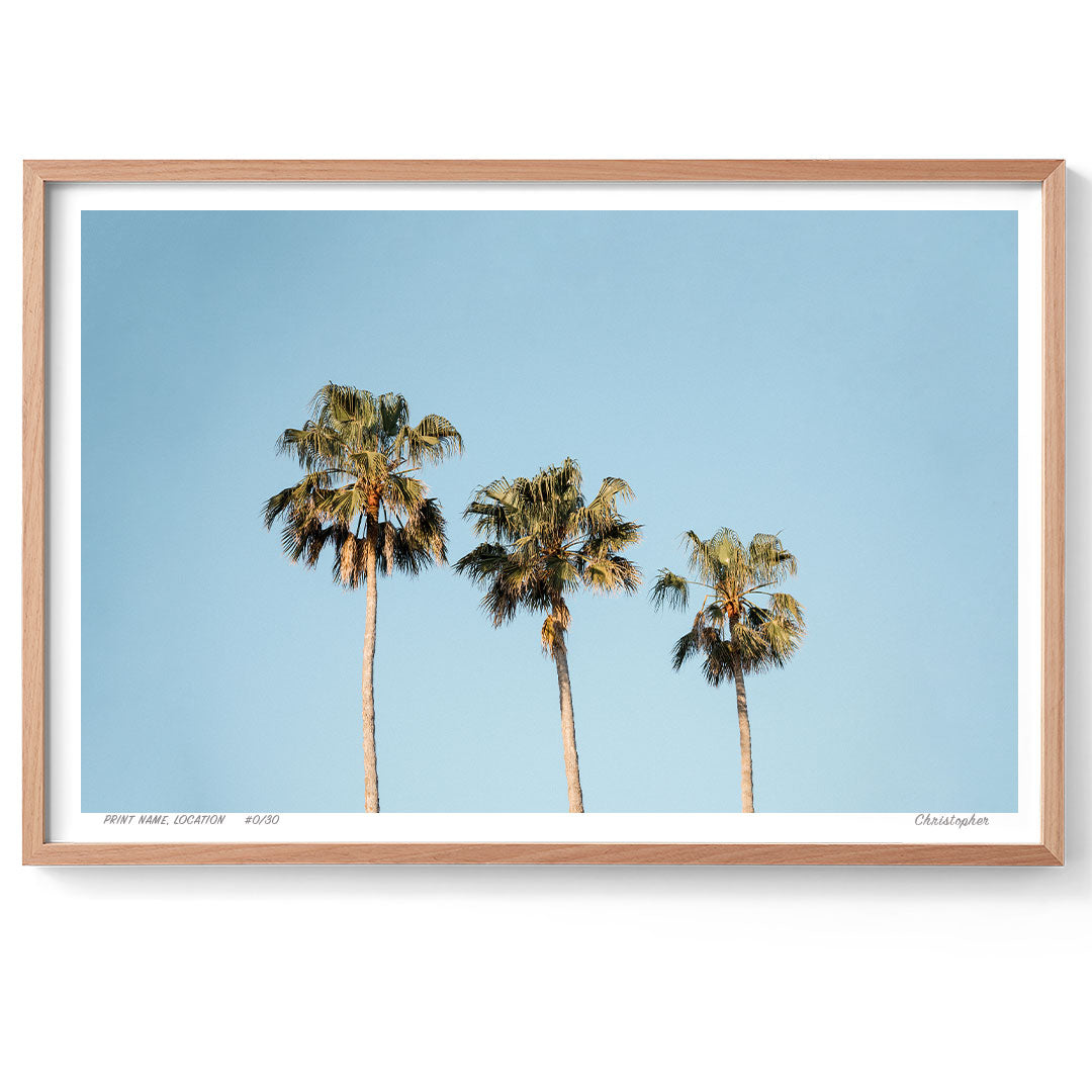 Tre Palms - Minimalist Coastal Print of Avoca Beach, NSW