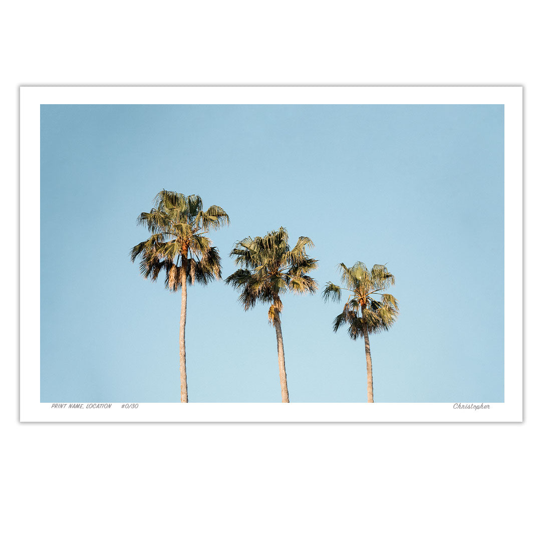 Tre Palms - Minimalist Coastal Print of Avoca Beach, NSW