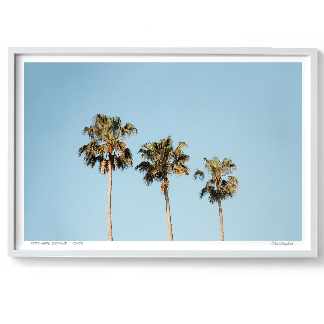 Tre Palms - Minimalist Coastal Print of Avoca Beach, NSW