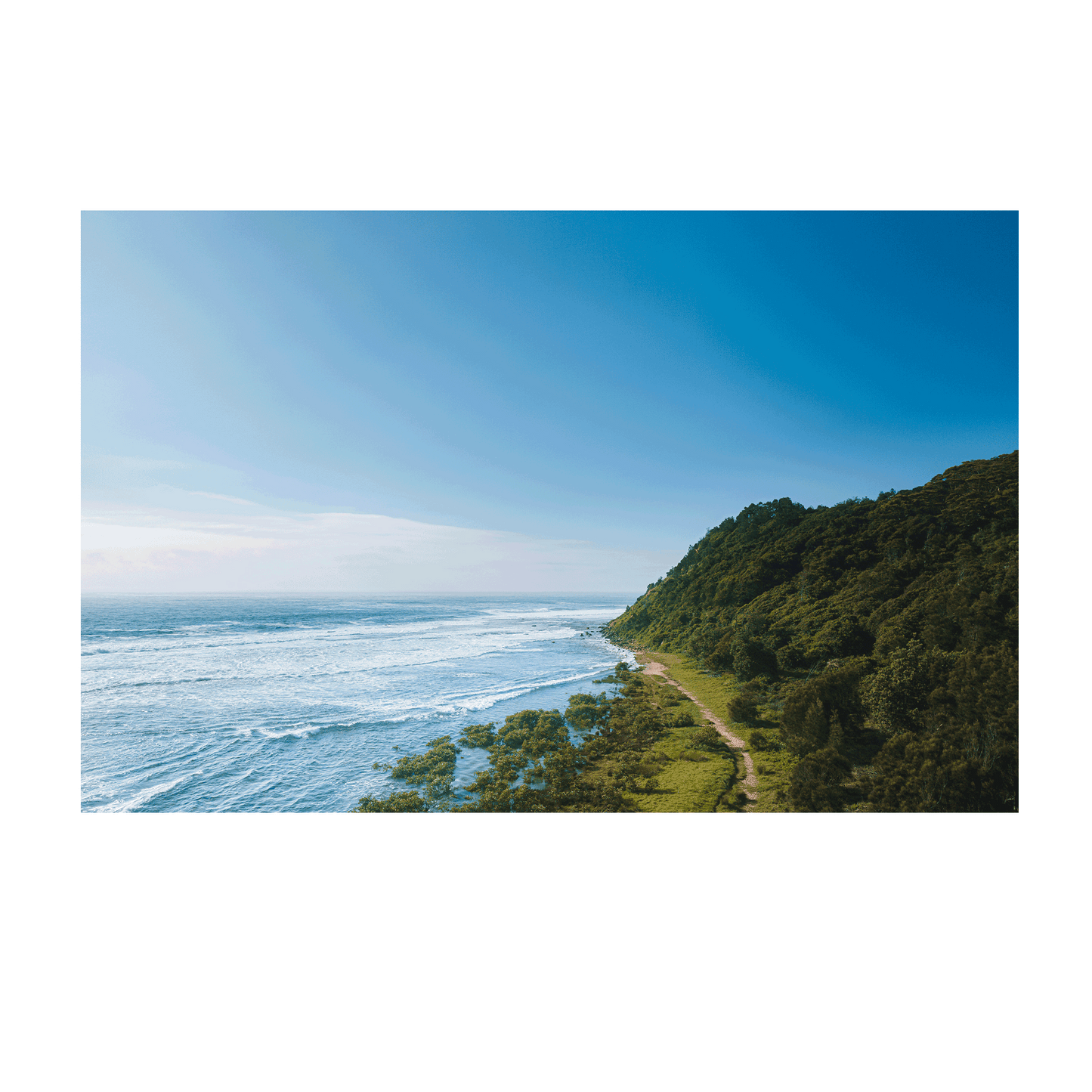 Aerial view of a winding coastal track leading through lush green hills beside the vast ocean at Bateau Bay, NSW.