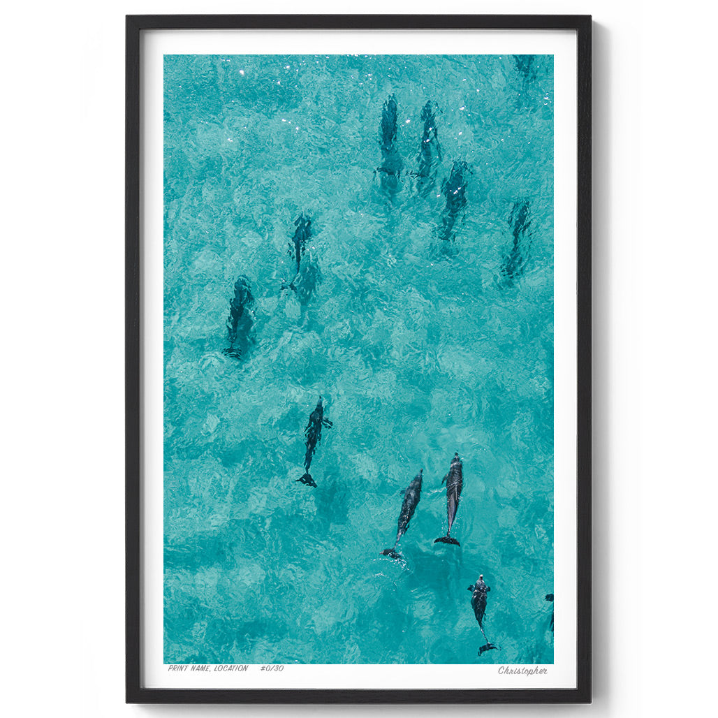 Fin Fun - Aerial Dolphin Print of Forster Beach, NSW