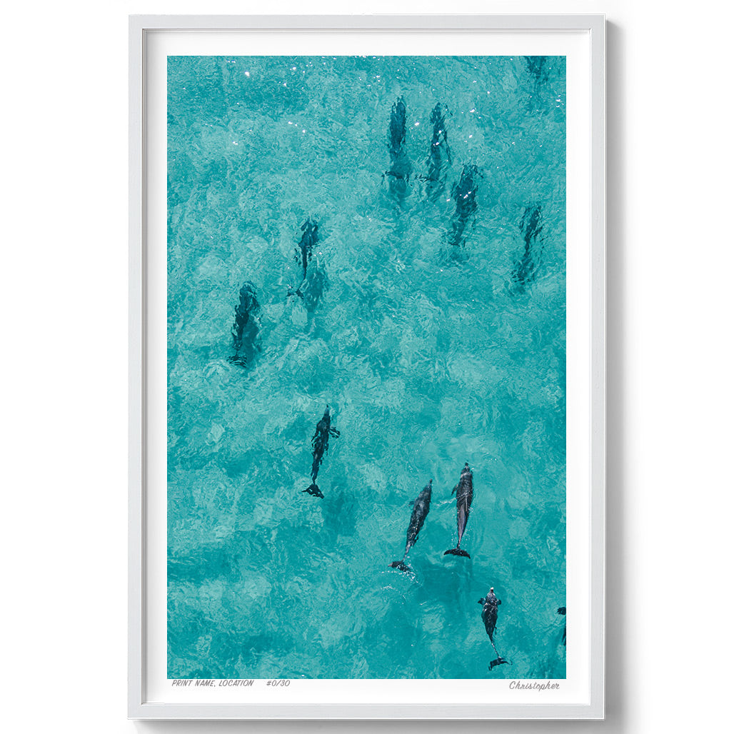 Fin Fun - Aerial Dolphin Print of Forster Beach, NSW