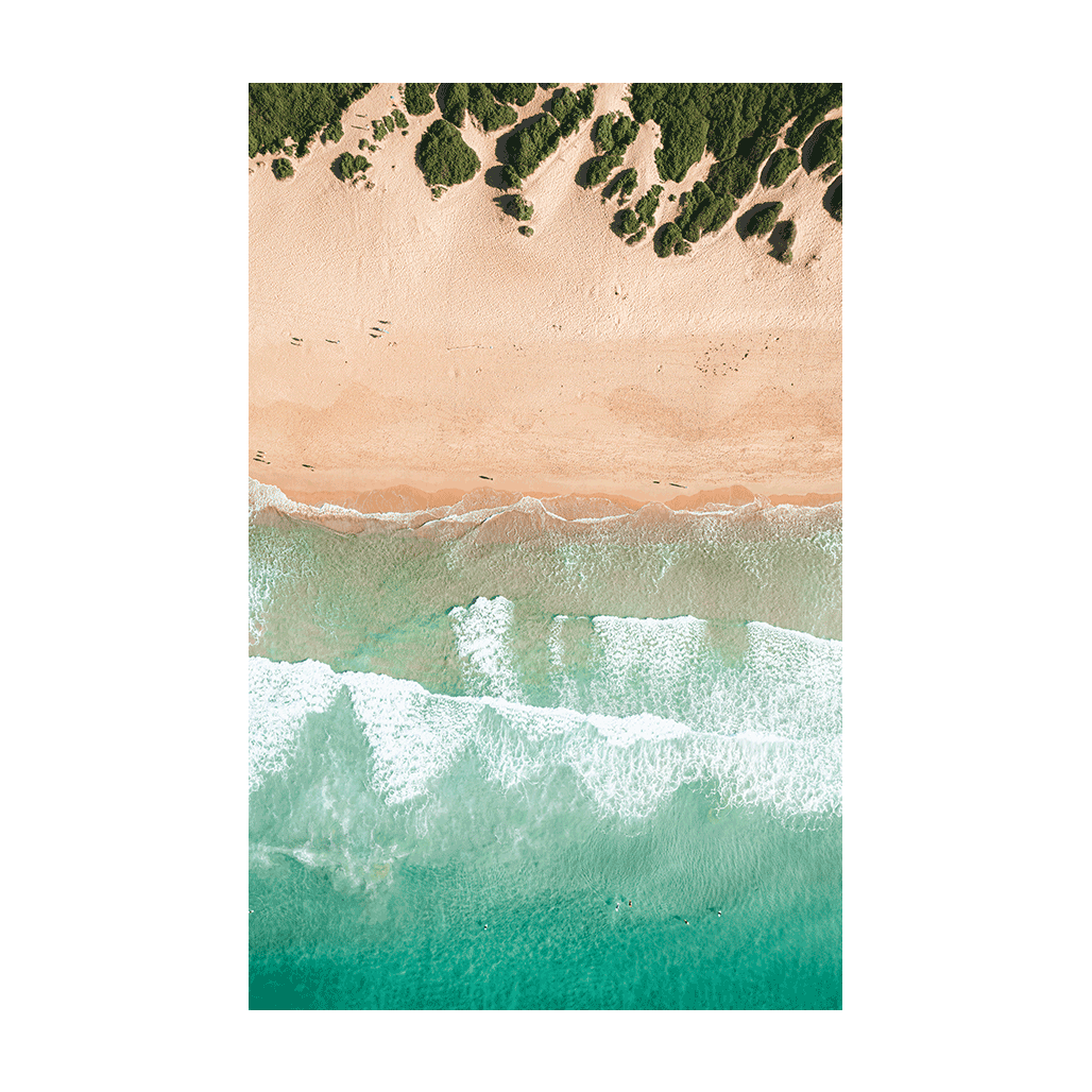 An aerial view of Shelly Beach, Central Coast, showing turquoise waves rolling onto golden sands with lush greenery scattered along the dunes.