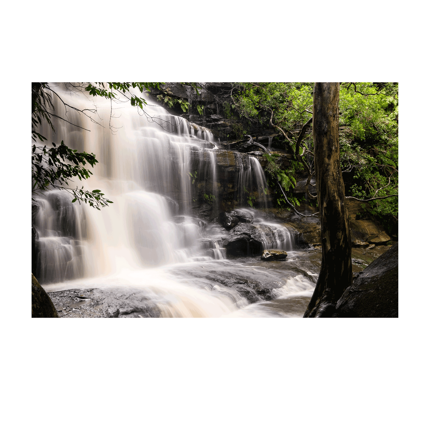 A stunning waterfall scene at Somersby Falls, Central Coast, featuring a silky cascading flow over rugged rocks, framed by lush rainforest greenery.