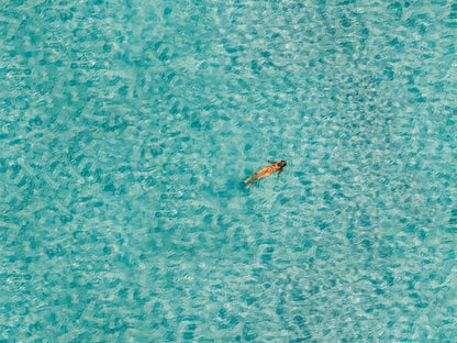 Float – Aerial Coastal Print of Bondi, Sydney