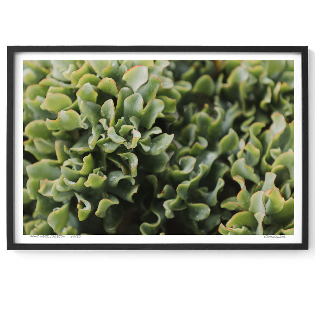 Jade – Coastal Print of Terrigal Beach, NSW