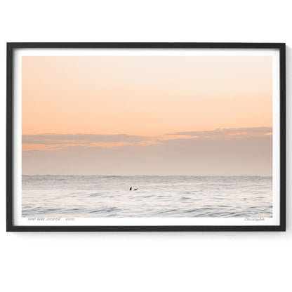 Sunriser – Print of Avoca Beach, NSW