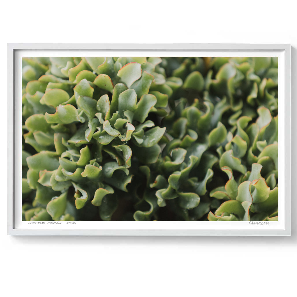 Jade – Coastal Print of Terrigal Beach, NSW