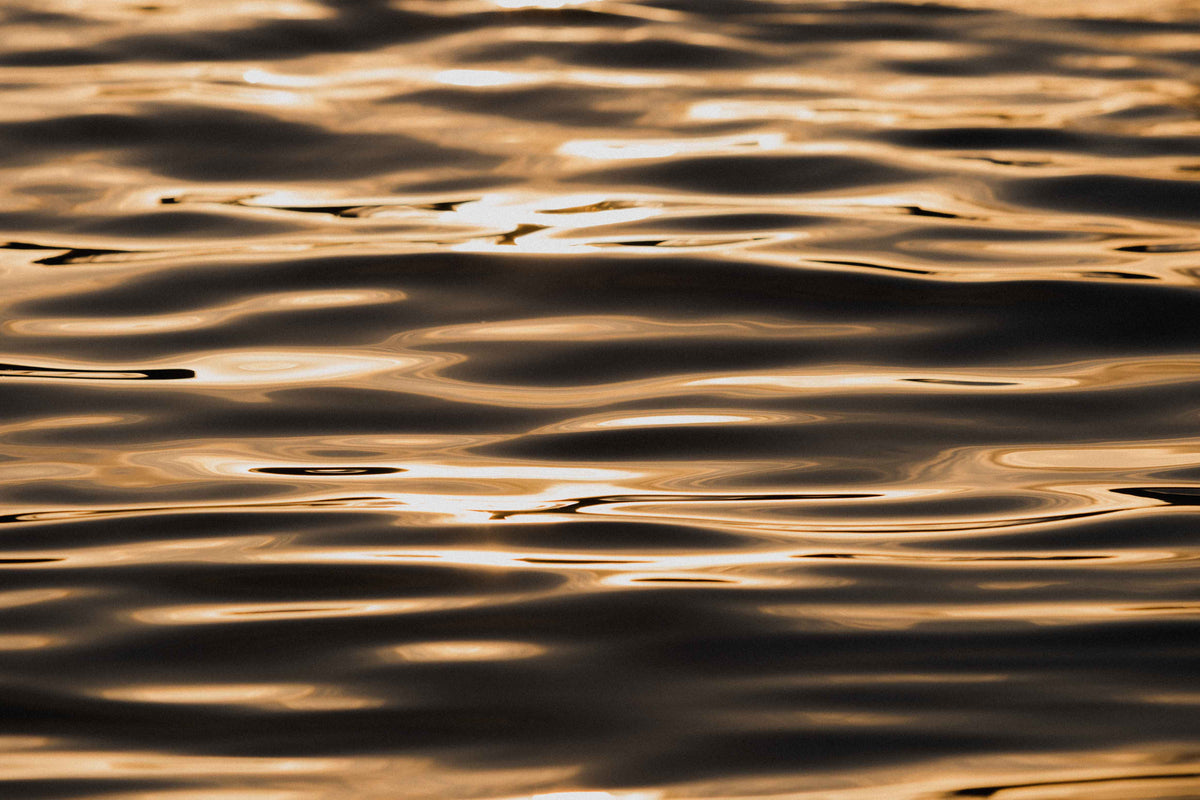 Old Gold - Coastal print, Scotts Head