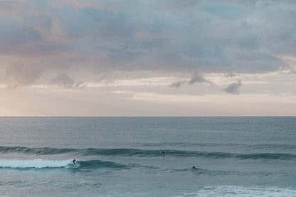 Life of the Morning  – Coastal Print of Shelly Beach, NSW