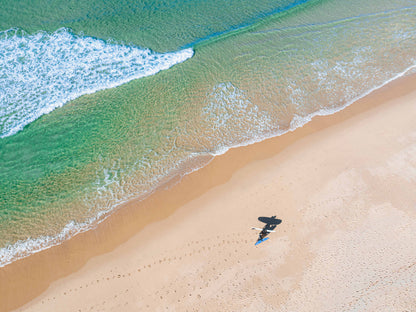 Linear – Aerial Coastal Print of Terrigal Beach, NSW