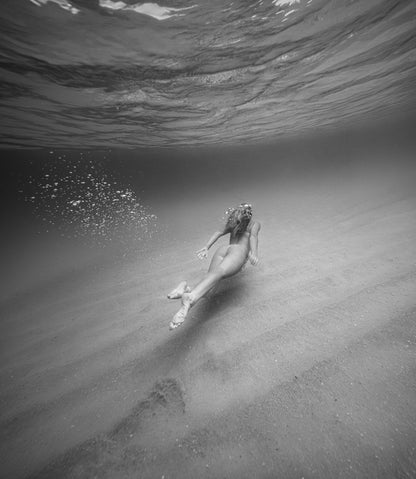 Silent Motion – Underwater Fine Art Photography