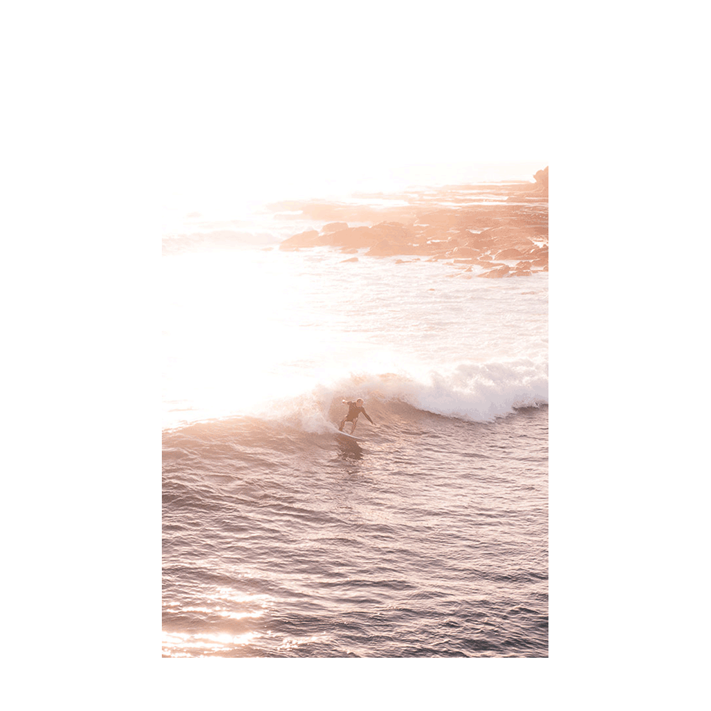 A surfer rides a sunlit wave at Terrigal Beach, NSW, bathed in warm golden-hour light with soft reflections on the water.
