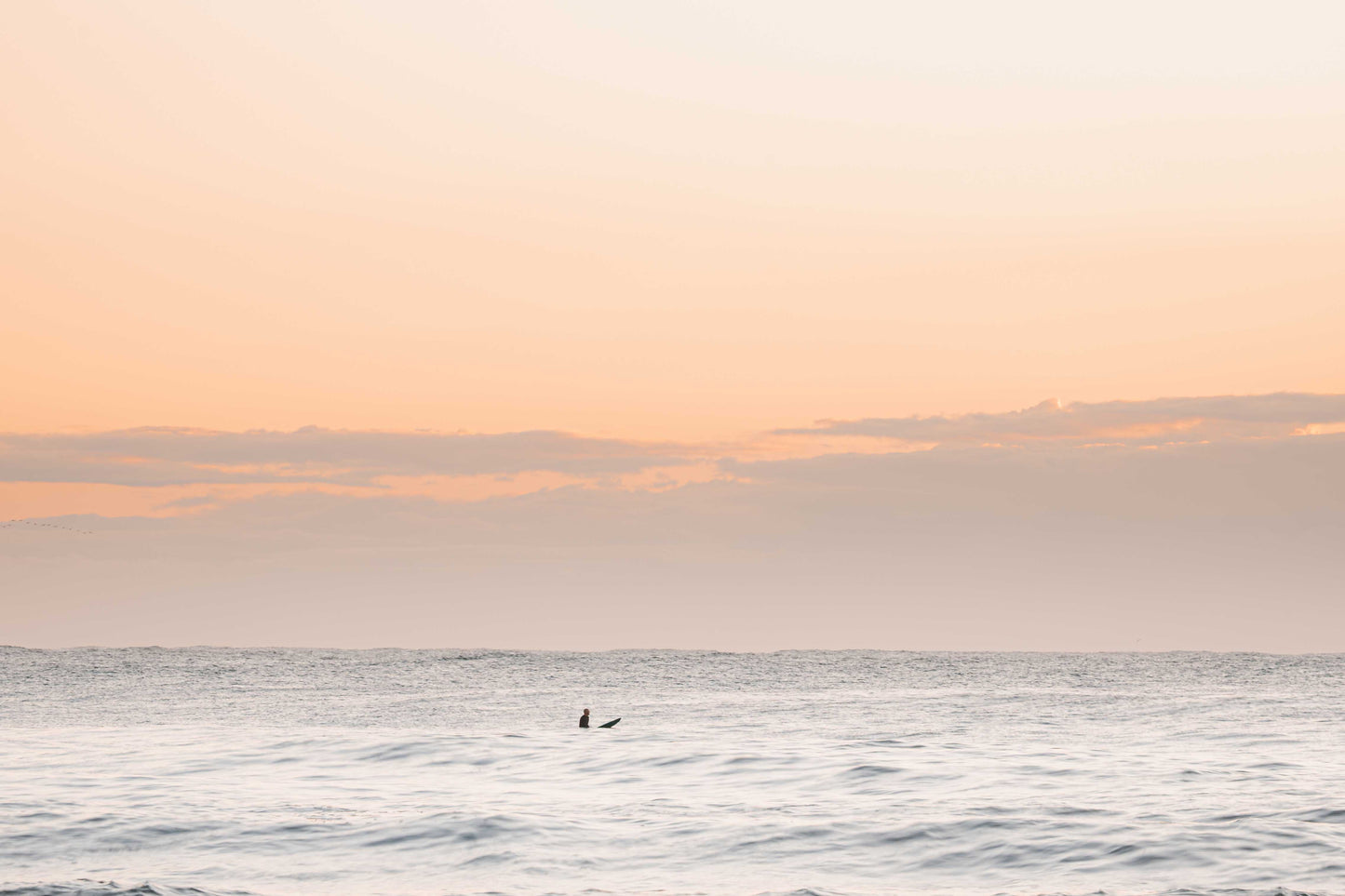 Sunriser – Print of Avoca Beach, NSW