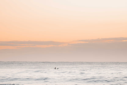 Sunriser – Print of Avoca Beach, NSW