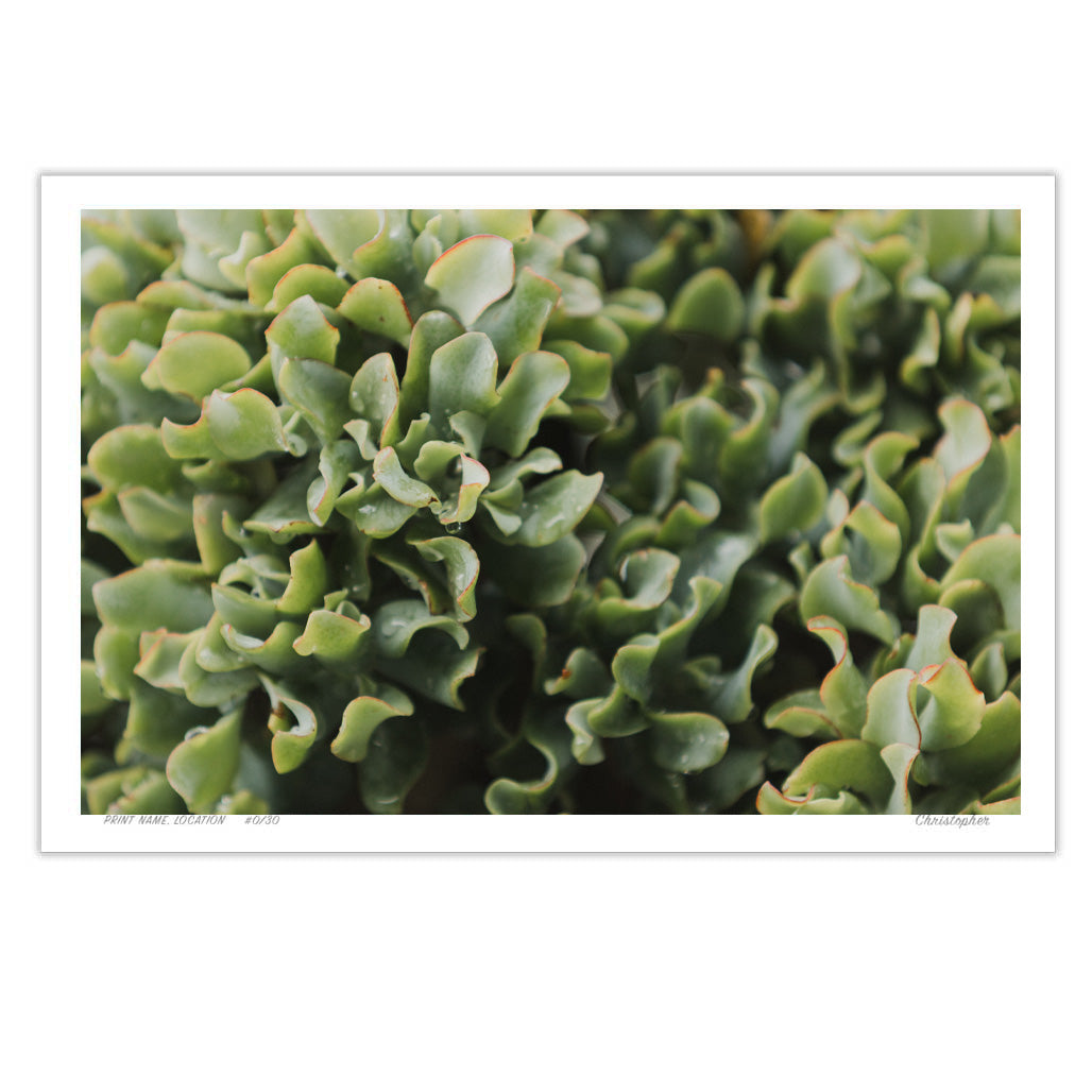 Jade – Coastal Print of Terrigal Beach, NSW
