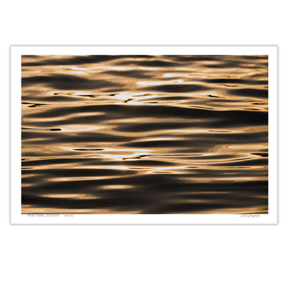 Old Gold - Coastal print, Scotts Head