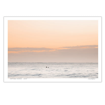 Sunriser – Print of Avoca Beach, NSW