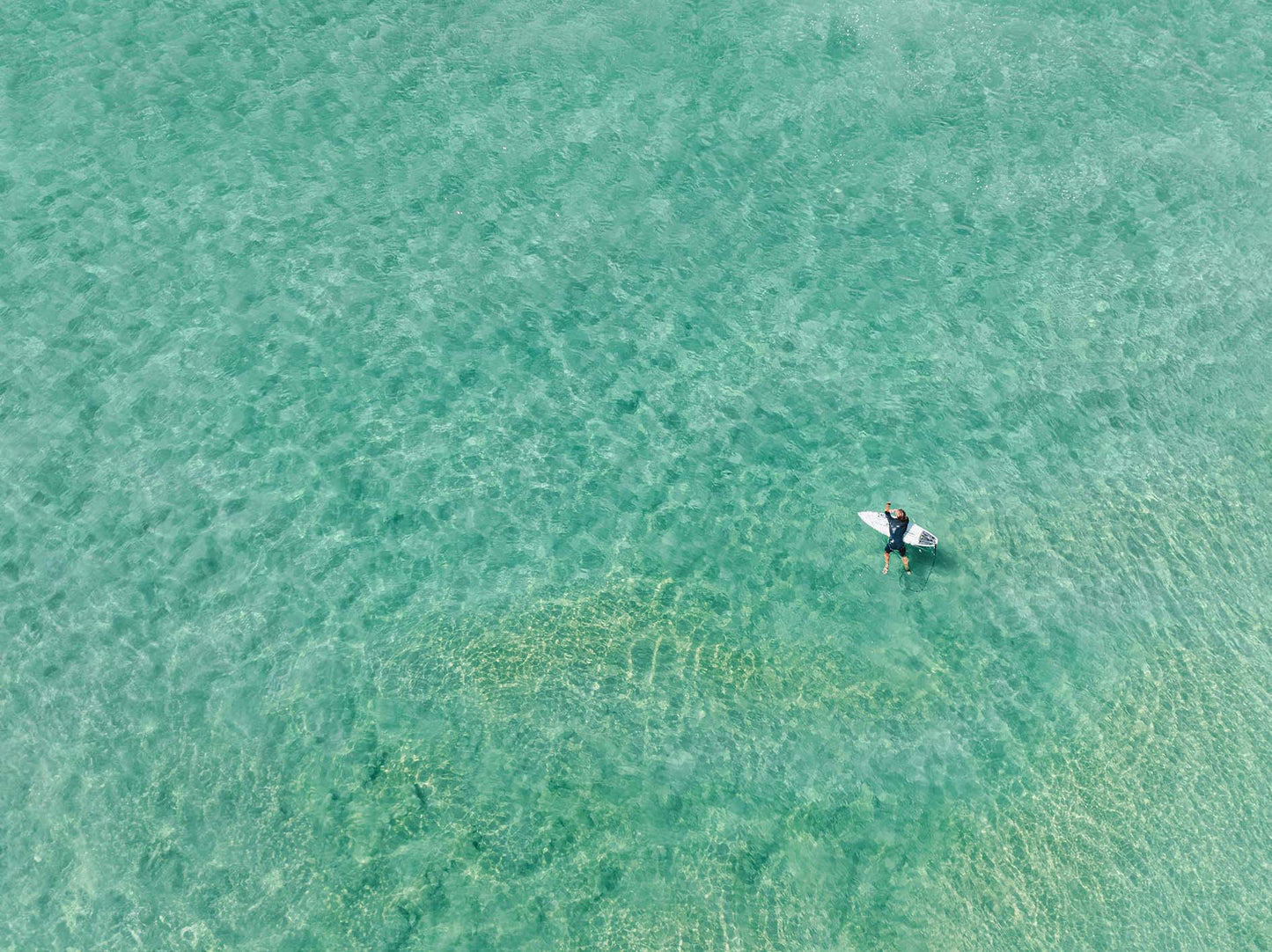 Holding on – Aerial Coastal Print of Shelly Beach, NSW
