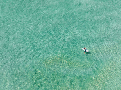 Holding on – Aerial Coastal Print of Shelly Beach, NSW