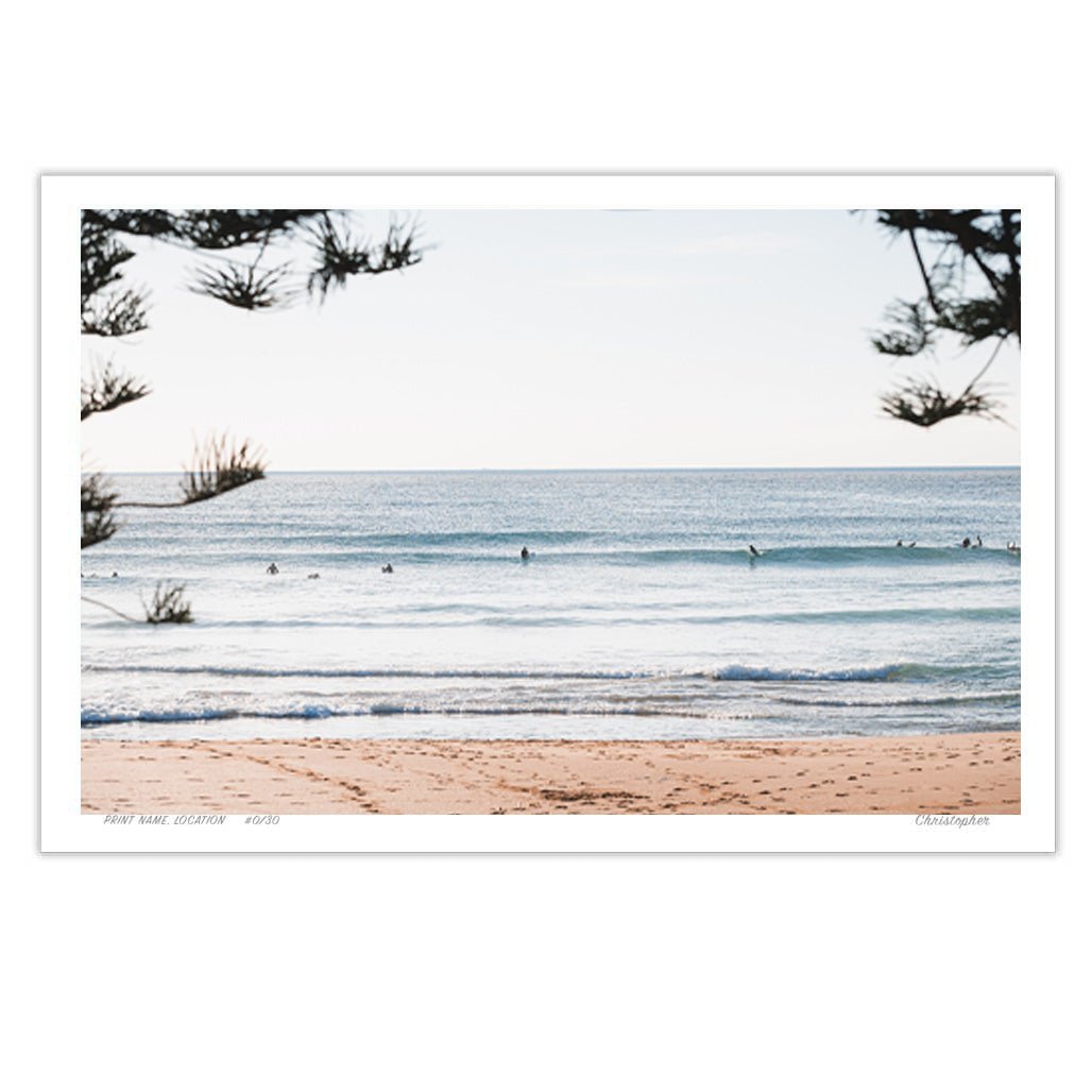 In the Pines - Coastal Print of Avoca Beach, NSW Print - From Above Images