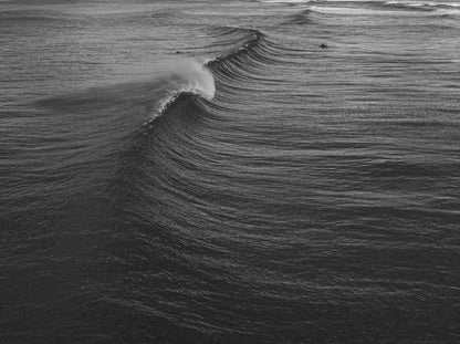 Lovely Lines – Aerial Coastal Print of North Avoca, NSW Print - From Above Images