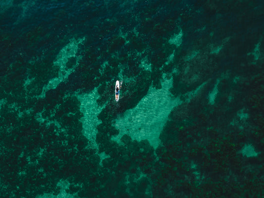 On The Way - Surf Print of Forresters Beach, NSW