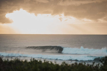 Open Sauce – Coastal Print of Shelly Beach, NSW