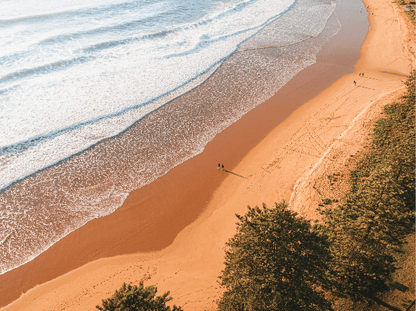 Quiet Walk – Aerial Print of Avoca Beach, NSW Print - From Above Images