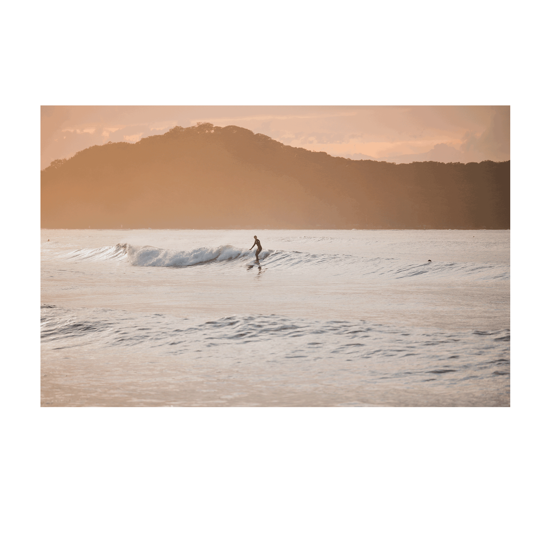 📸 A golden sunset over Umina Beach, NSW, featuring a lone surfer riding a gentle wave with warm hues reflecting on the ocean.

