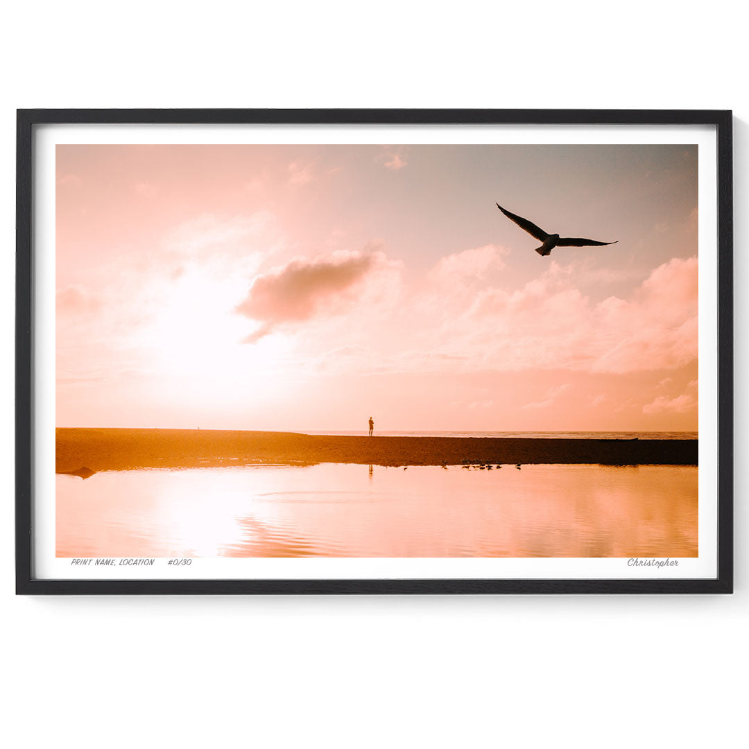Golden Flight – Coastal Print of Wamberal Beach, NSW