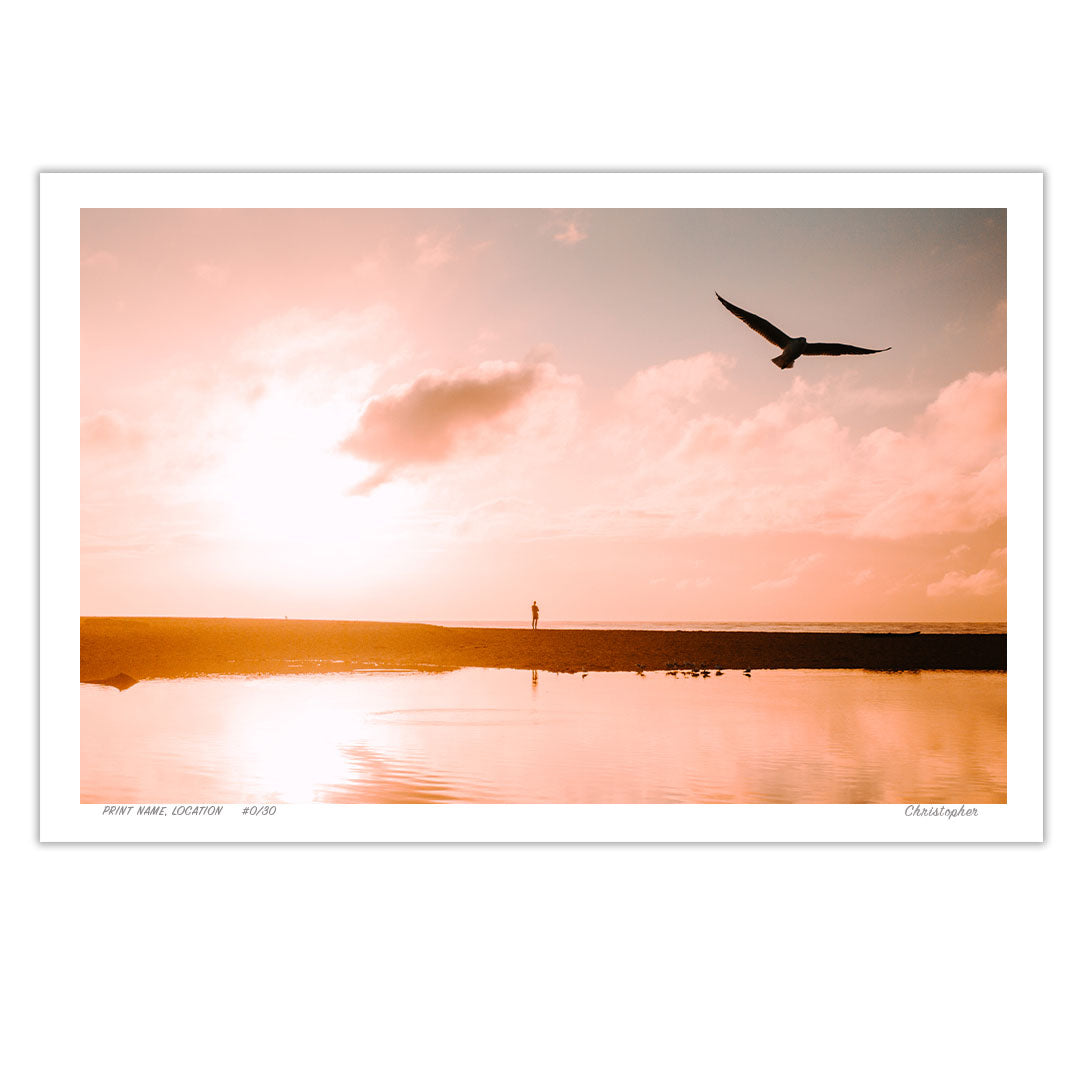 Golden Flight – Coastal Print of Wamberal Beach, NSW