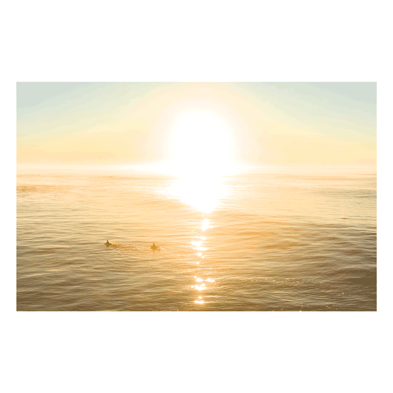 A stunning sunset over Wamberal Beach, NSW, with golden light reflecting on the ocean as two surfers paddle towards the horizon.
